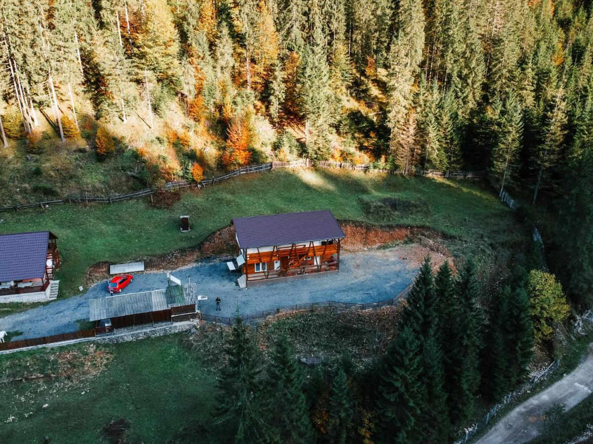 Pensiunea Izabel Lacul Roşu Exterior foto